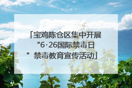 宝鸡陈仓区集中开展“6･26国际禁毒日”禁毒教育宣传活动