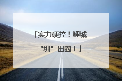 实力硬控！鲤城“圳”出圈！