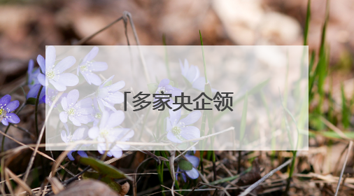 多家央企领导密集调整