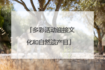 多彩活动迎接文化和自然遗产日