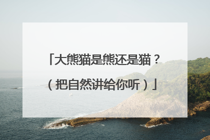 大熊猫是熊还是猫？（把自然讲给你听）