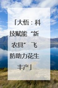 大悟：科技赋能“新农具” 飞防助力花生丰产