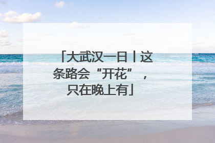 大武汉一日丨这条路会“开花”，只在晚上有