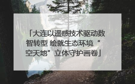 大连以遥感技术驱动数智转型 绘就生态环境“空天地”立体守护画卷