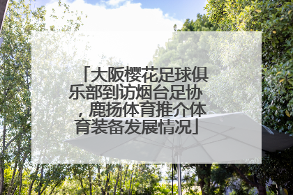大阪樱花足球俱乐部到访烟台足协，鹿扬体育推介体育装备发展情况