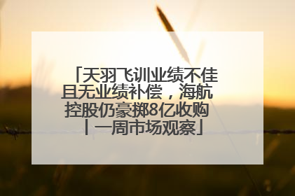 天羽飞训业绩不佳且无业绩补偿，海航控股仍豪掷8亿收购丨一周市场观察