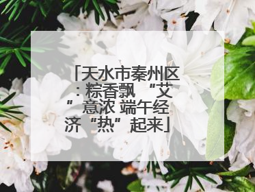 天水市秦州区：粽香飘 “艾”意浓 端午经济“热”起来