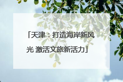 天津：打造海岸新风光 激活文旅新活力