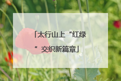 太行山上“红绿”交织新篇章