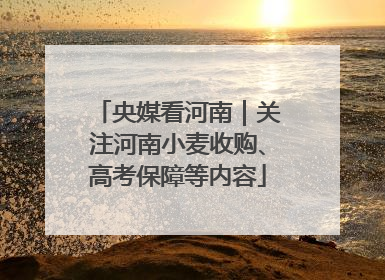 央媒看河南｜关注河南小麦收购、高考保障等内容