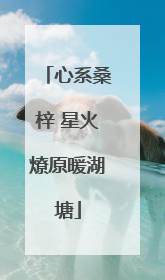 心系桑梓 星火燎原暖湖塘