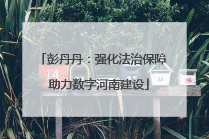 彭丹丹：强化法治保障 助力数字河南建设