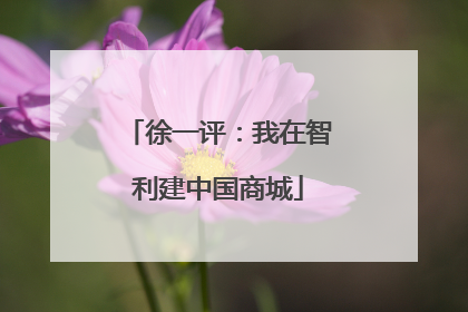 徐一评：我在智利建中国商城