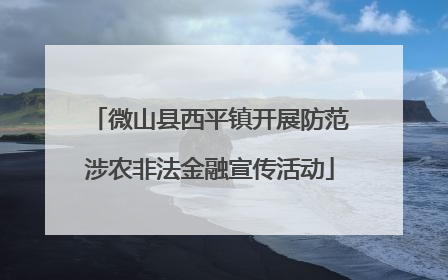 微山县西平镇开展防范涉农非法金融宣传活动