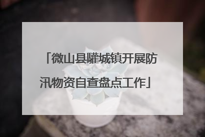 微山县驩城镇开展防汛物资自查盘点工作