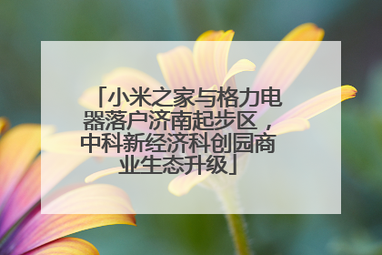 小米之家与格力电器落户济南起步区，中科新经济科创园商业生态升级