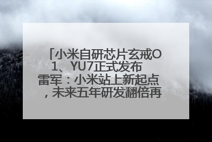 小米自研芯片玄戒O1、YU7正式发布 雷军：小米站上新起点，未来五年研发翻倍再投2000亿元