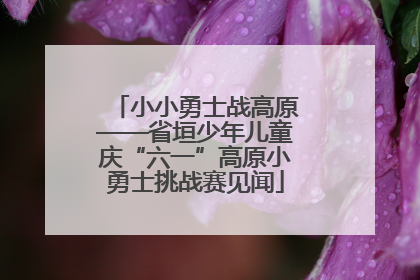 小小勇士战高原——省垣少年儿童庆“六一”高原小勇士挑战赛见闻