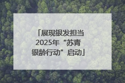 展现银发担当 2025年“苏青银龄行动”启动