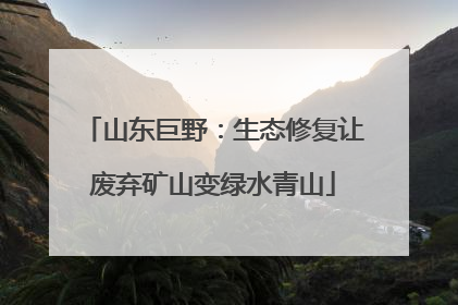 山东巨野：生态修复让废弃矿山变绿水青山