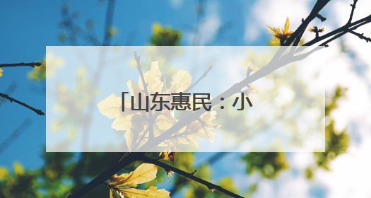 山东惠民：小绳网“织”出乡村振兴新图景