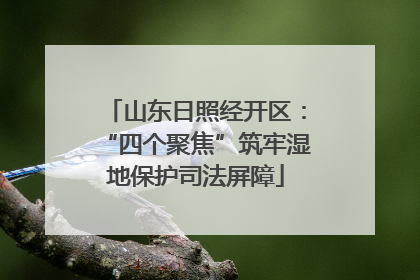 山东日照经开区：“四个聚焦”筑牢湿地保护司法屏障