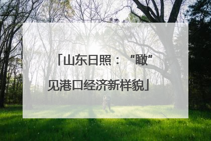 山东日照：“瞰”见港口经济新样貌