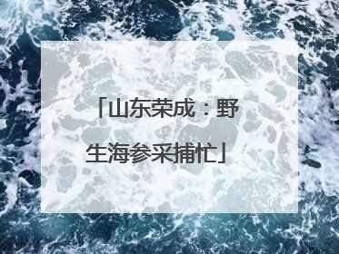 山东荣成：野生海参采捕忙