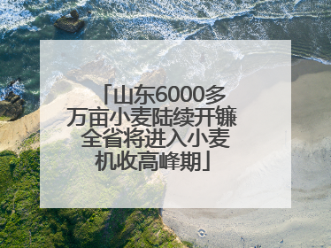 山东6000多万亩小麦陆续开镰 全省将进入小麦机收高峰期
