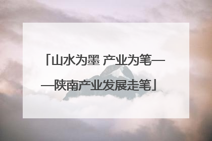 山水为墨 产业为笔——陕南产业发展走笔