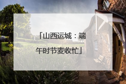 山西运城：端午时节麦收忙