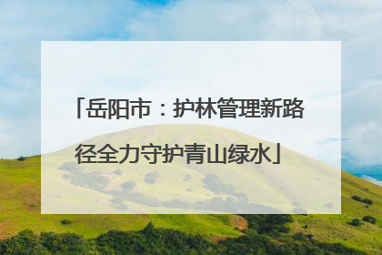 岳阳市：护林管理新路径全力守护青山绿水
