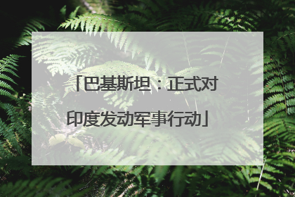巴基斯坦：正式对印度发动军事行动