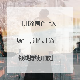 川渝国企“入场”，油气上游领域持续开放