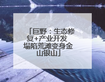 巨野：生态修复+产业开发 塌陷荒滩变身金山银山