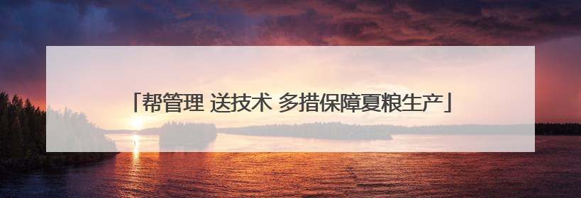帮管理 送技术 多措保障夏粮生产