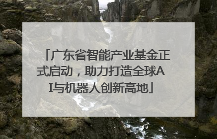 广东省智能产业基金正式启动，助力打造全球AI与机器人创新高地