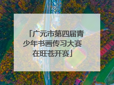 广元市第四届青少年书画传习大赛在旺苍开赛