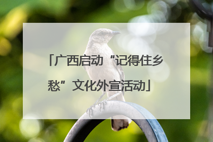 广西启动“记得住乡愁”文化外宣活动