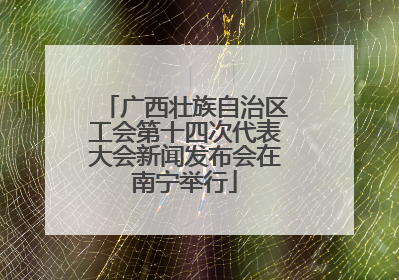 广西壮族自治区工会第十四次代表大会新闻发布会在南宁举行