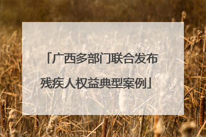 广西多部门联合发布残疾人权益典型案例