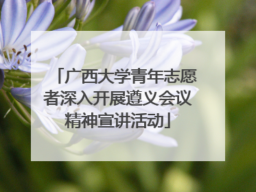 广西大学青年志愿者深入开展遵义会议精神宣讲活动