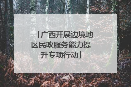 广西开展边境地区民政服务能力提升专项行动