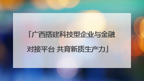 广西搭建科技型企业与金融对接平台 共育新质生产力