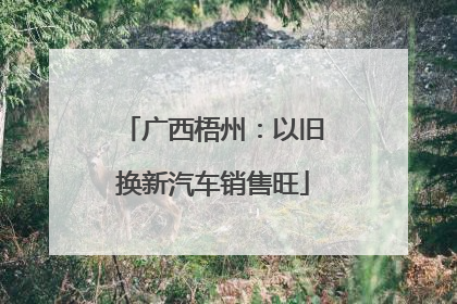广西梧州：以旧换新汽车销售旺