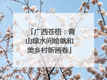 广西苍梧：青山绿水间绘就和美乡村新画卷