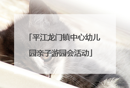 平江龙门镇中心幼儿园亲子游园会活动