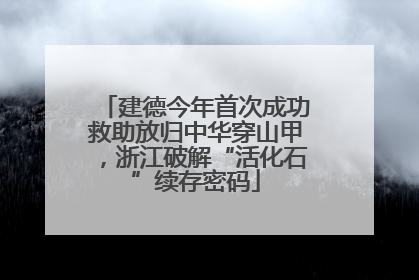 建德今年首次成功救助放归中华穿山甲，浙江破解“活化石”续存密码