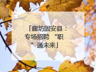 廊坊固安县：专场招聘 “职”通未来