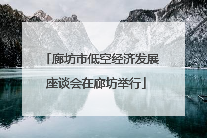 廊坊市低空经济发展座谈会在廊坊举行